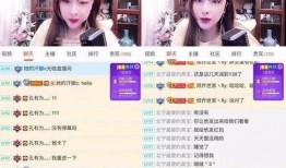 武冈网络主播爆料视频,揭秘幕后真相